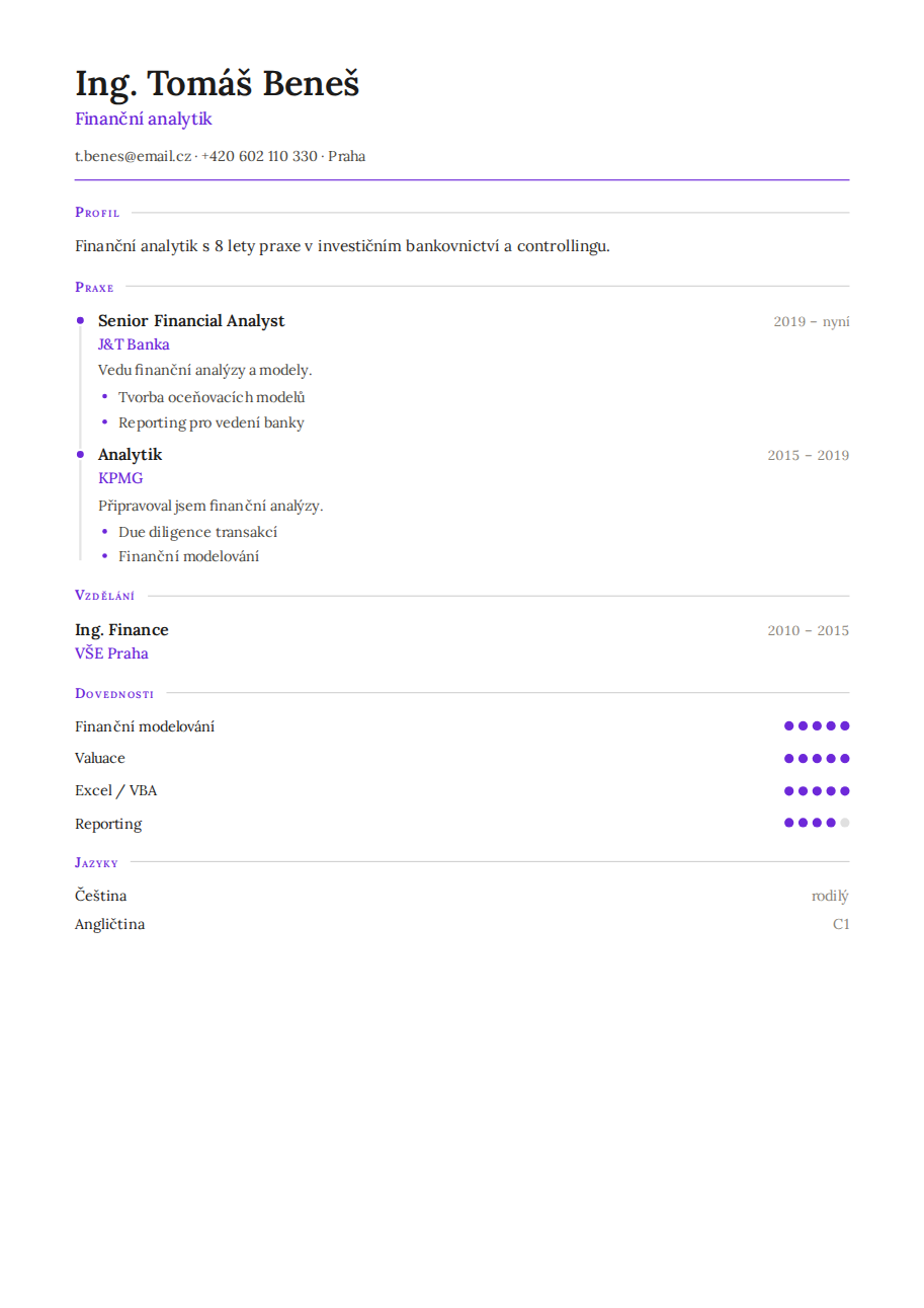 Příklad životopisu — Finanční analytik