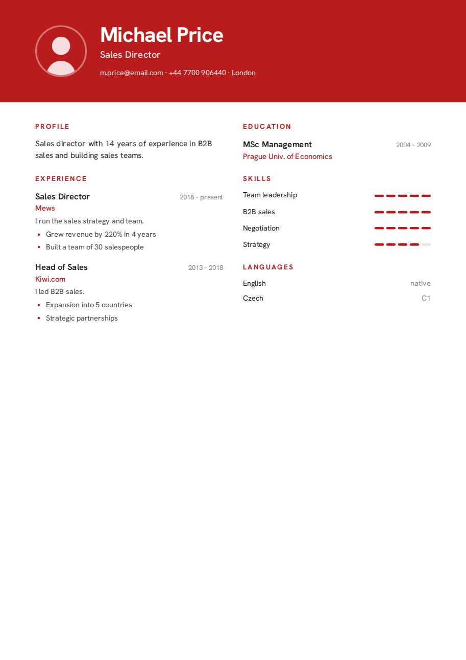 Résumé example — Sales Director