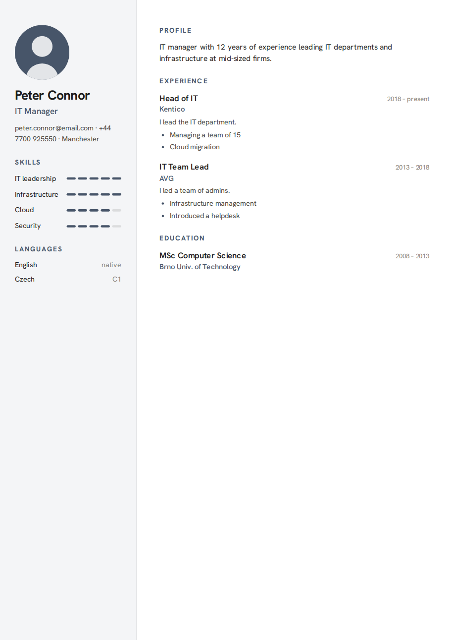 Résumé example — IT Manager